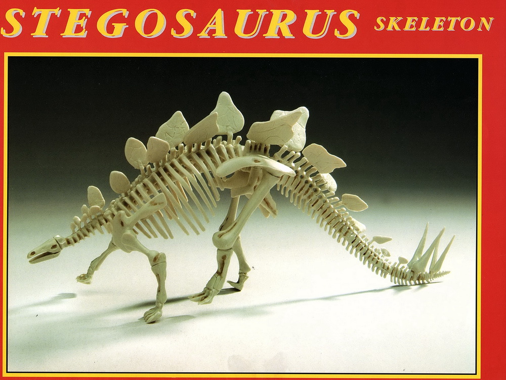 Stegosaurus